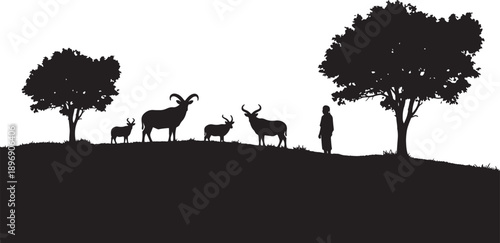 Silhouette of a herd of wild goats and a child standing on a grassy hill under trees also transparent background