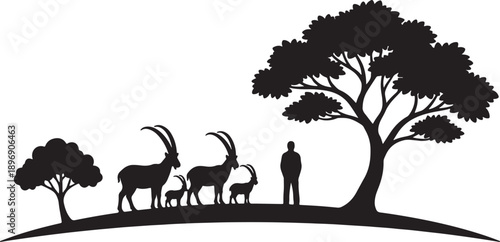 Silhouette of ibex family and a person standing under a tree on a grassy hill also transparent background