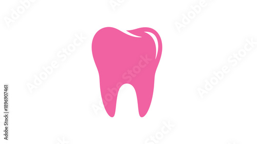tooth isolated  a human molar tooth on a white background
