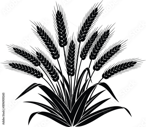 Black wheat stalk silhouette, organic grain ears, agriculture harvest symbol, cereal plant icon, bakery logo element, barley bunch, vector illustration isolated on white background