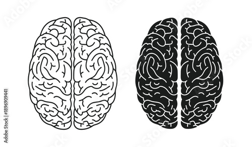 Black and white illustration of human brain with left and right hemispheres in contrasting colors