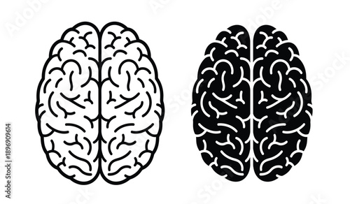 Black and white illustration of human brain hemispheres side by side