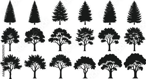 Collection of diverse black tree silhouettes including pine and oak, forest nature symbols isolated set