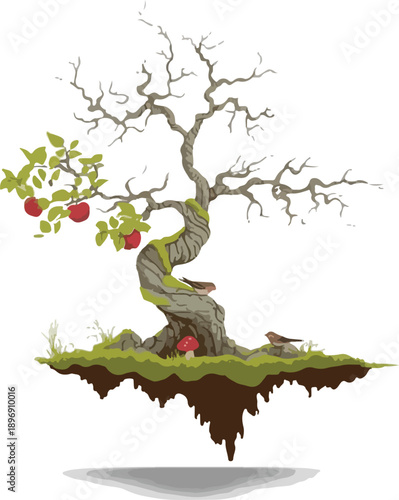 bonsai tree on white background