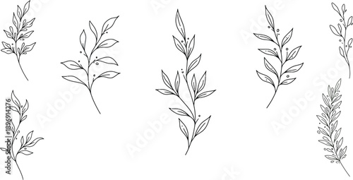 A collection of six different plant branches with leaves and leaves arrangement
