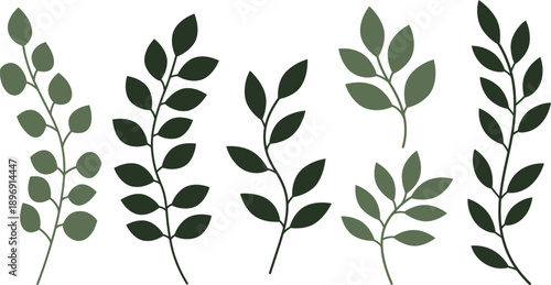 Collection of various green leafy branches with different shaped leaves