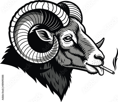 Illustration of a rams head with a cigarette in its mouth and a humorous expression