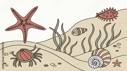 Seabed Illustration with Starfish Crab Seashells and Seaweed for Ocean Ecology Education and Coastal Design Projects