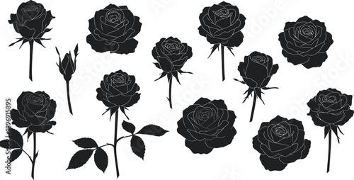 Black silhouettes of various rose flowers and buds on stems with leaves