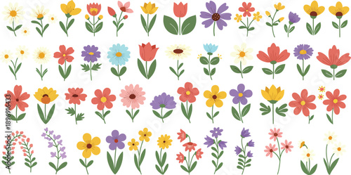 Vibrant watercolor collection of colorful spring and summer floral illustrations