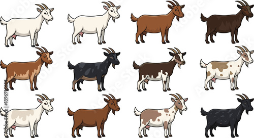 Cartoon goat character set showing different colors and patterns farm animal collection cute flat vector illustration isolated on white background