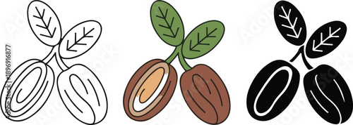 Fresh dates fruit collection with leaves and bowls in outline, colorful, and silhouette styles.