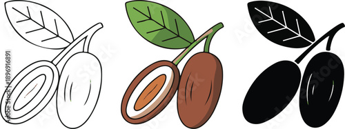 Fresh dates fruit collection with leaves and bowls in outline, colorful, and silhouette styles.