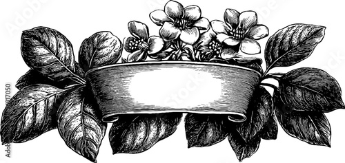 Vintage botanical cartouche plaque with decorative flowers and leaves for design or printing