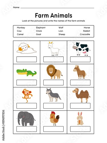 Word of animals exercise