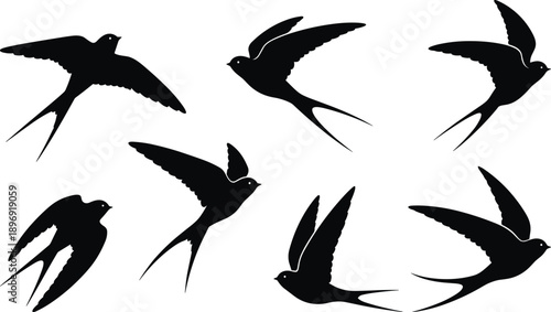 Swallow Bird Silhouette Set Collection, Flying Birds in Different Poses, Black Vector Illustration for Nature, Freedom, Spring, Wildlife Design