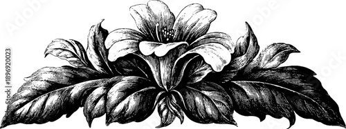 Vintage botanical heraldic emblem design for decorative purposes