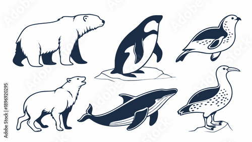 Arctic Wildlife Set Polar Bear Orca Whale Seabird Illustrations for Nature Education Ecology Design Projects