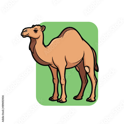 Cartoon Camel Standing Profile Illustration.