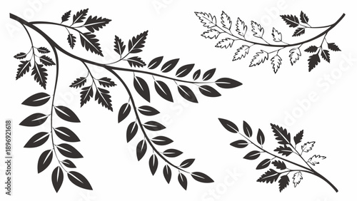 Elegant Black Silhouette Botanical Branch Foliage Vector Set for Wedding Invitations Design Decor