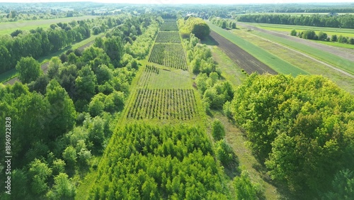 Canvastavla Biodiversity-focused sapling field from drone view