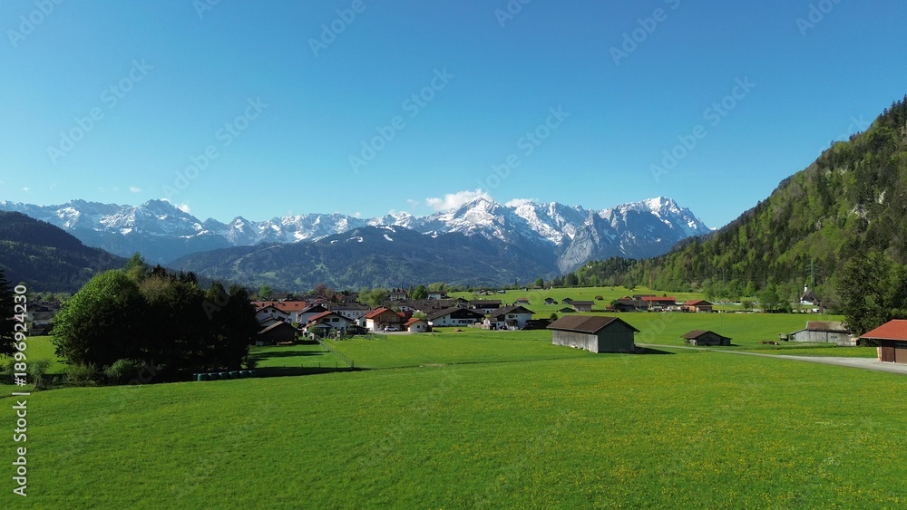 Fototapeta premium Field of wildflowers and distant alpine peaks