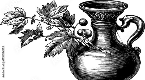 Vintage botanical engraving of a decorative jug with classical form for retro design