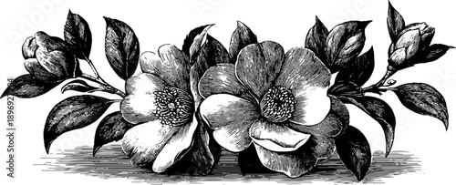 Vintage botanical rosette ornament design featuring intricate carved floral details for elegant decor