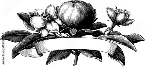 Vintage decorative shield with botanical elements for labels and frames