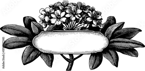 Vintage botanical decorative shield label with floral engraving for retro design