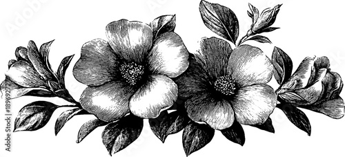 Vintage botanical shield label design with engraved floral frame