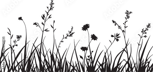 Vector illustration of a summer meadow landscape featuring a grass silhouette and wheat grain cereal crops isolated on a white background for nature and agriculture floral pattern design
