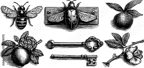 Vintage botanical door knockers and keys engravings with insects and fruits for retro design