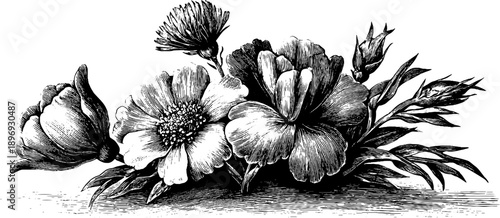 Vintage botanical illustration of dried flowers bouquet for retro design and decor