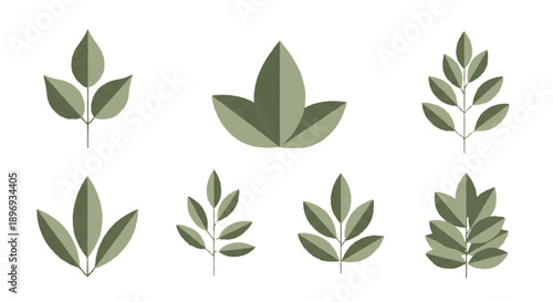 Collection of Various Green Leaves Isolated.
