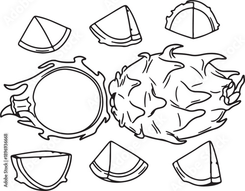 Hand drawn dragon fruit with slices black and white line art illustration isolated on white background for coloring page, packaging, menu, poster, logo, sticker, tattoo, and branding design