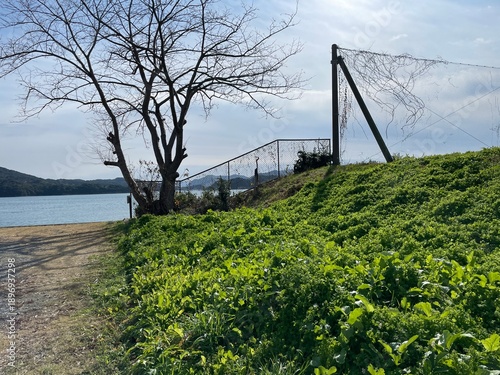 グラウンドと周辺