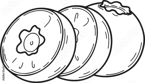 Hand Drawn Cucumber Line Art Illustration Black and White