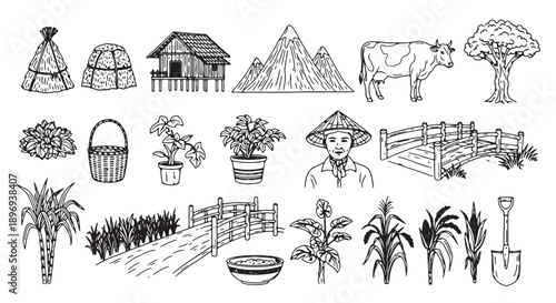 Farm icons and illustrations, agricultural symbols, farming tools and plants, vector graphics for website or presentation