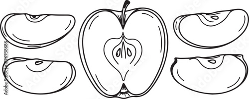Hand Drawn Apple Half and Slices Line Art Illustration