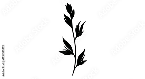 Elegant Black Silhouette of a Botanical Stem with Leaves and Buds.