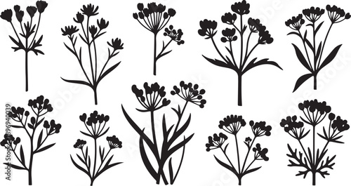 Set of black floral silhouettes on white background illustration