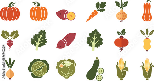 Collection of flat organic vegetable icons including pumpkins sweet potatoes carrots onions beet kale and corn isolated
