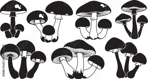 Black and white illustration of various mushroom types