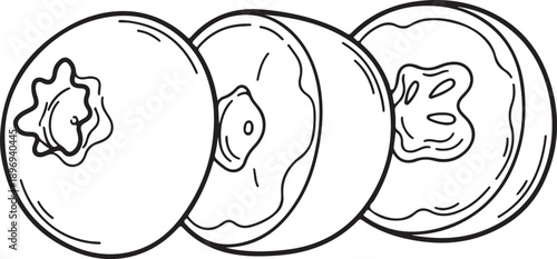 Hand Drawn Persimmon Slices Line Art Illustration