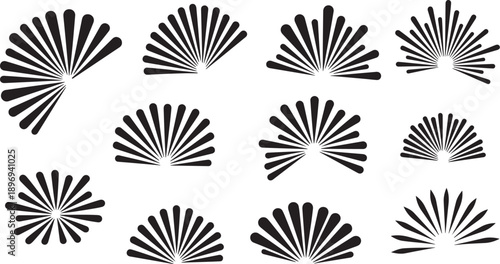 Black and White Abstract Fan Shape Graphic Design Elements