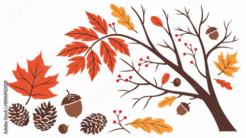 Autumn Harvest Tree Branches Falling Leaves Acorns Pinecones Seasonal Fall Design Elements for Holiday Flyers Invitations Web Banners