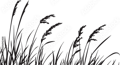 Would you like me to generate a set of keywords or tags to go along with this description?