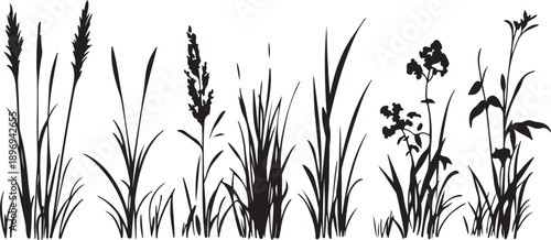 Would you like me to generate more variations for other stock categories?