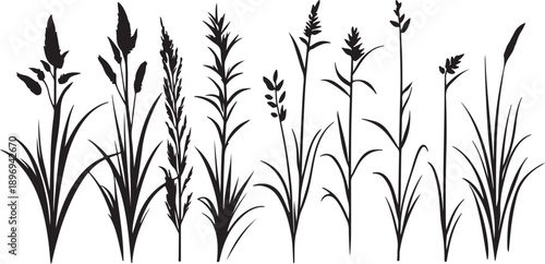 Seamless nature pattern illustration featuring wheat ears and field vectors with green grass leaves and floral bamboo silhouettes on a white summer wallpaper background